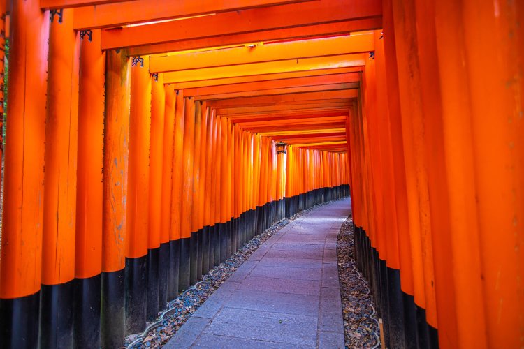 本殿奥から稲荷山を遥拝する奥社奉拝所まで続く千本鳥居。境内全域では約1万基の鳥居がある。