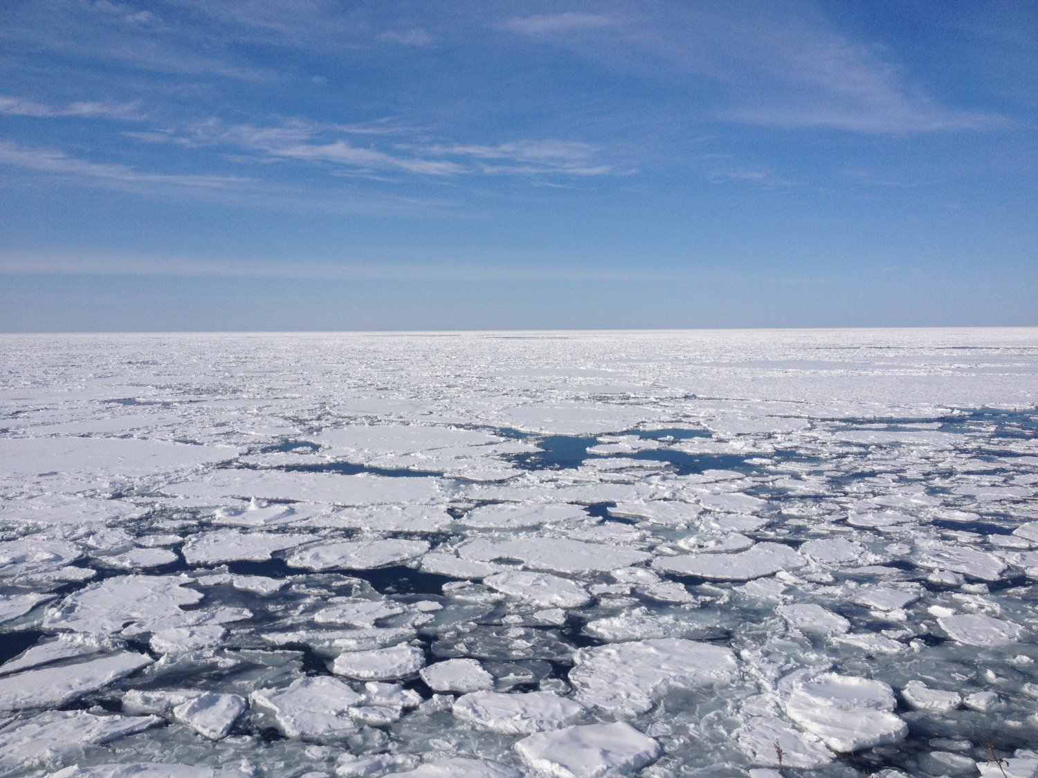ウトロ海岸の流氷。日本ではオホーツク海でしか見られない。シーズンは1月下旬～3月上旬。
