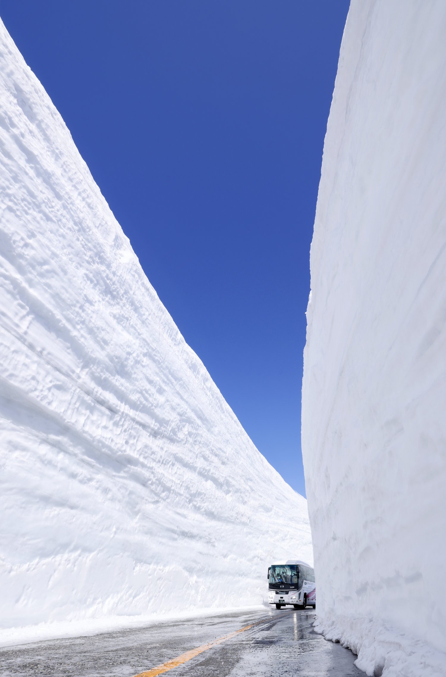 春の室堂平に出現する雪の大谷。高さ約20mの巨大な雪の壁がそびえ立つ。（写真／立山黒部アルペンルート）
