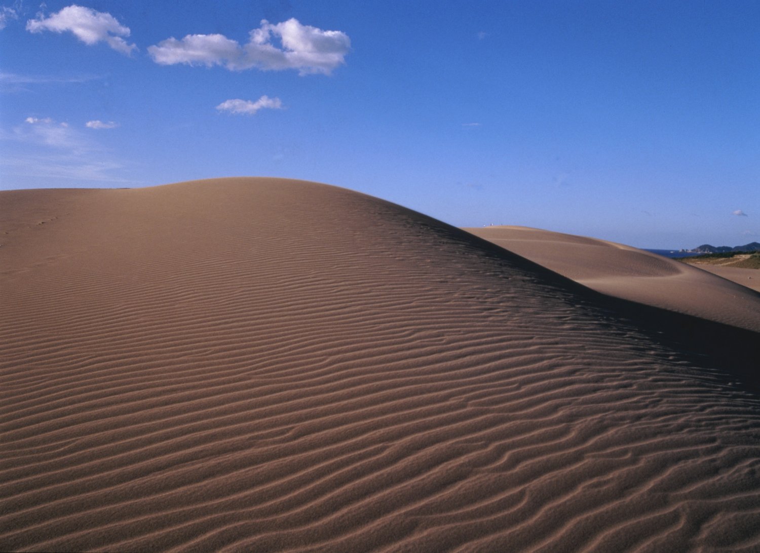 砂丘は風の強さや方向によって絶えず姿を変える。（写真／鳥取県）