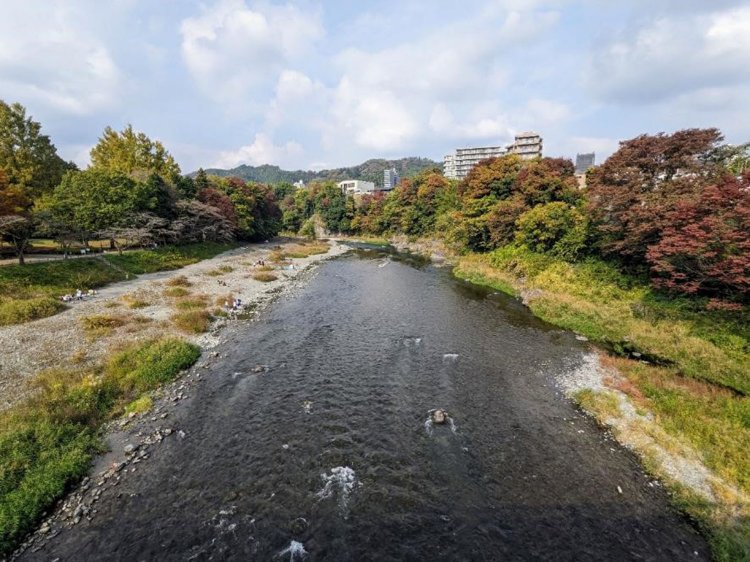 青梅の鮎美橋から望む多摩川。