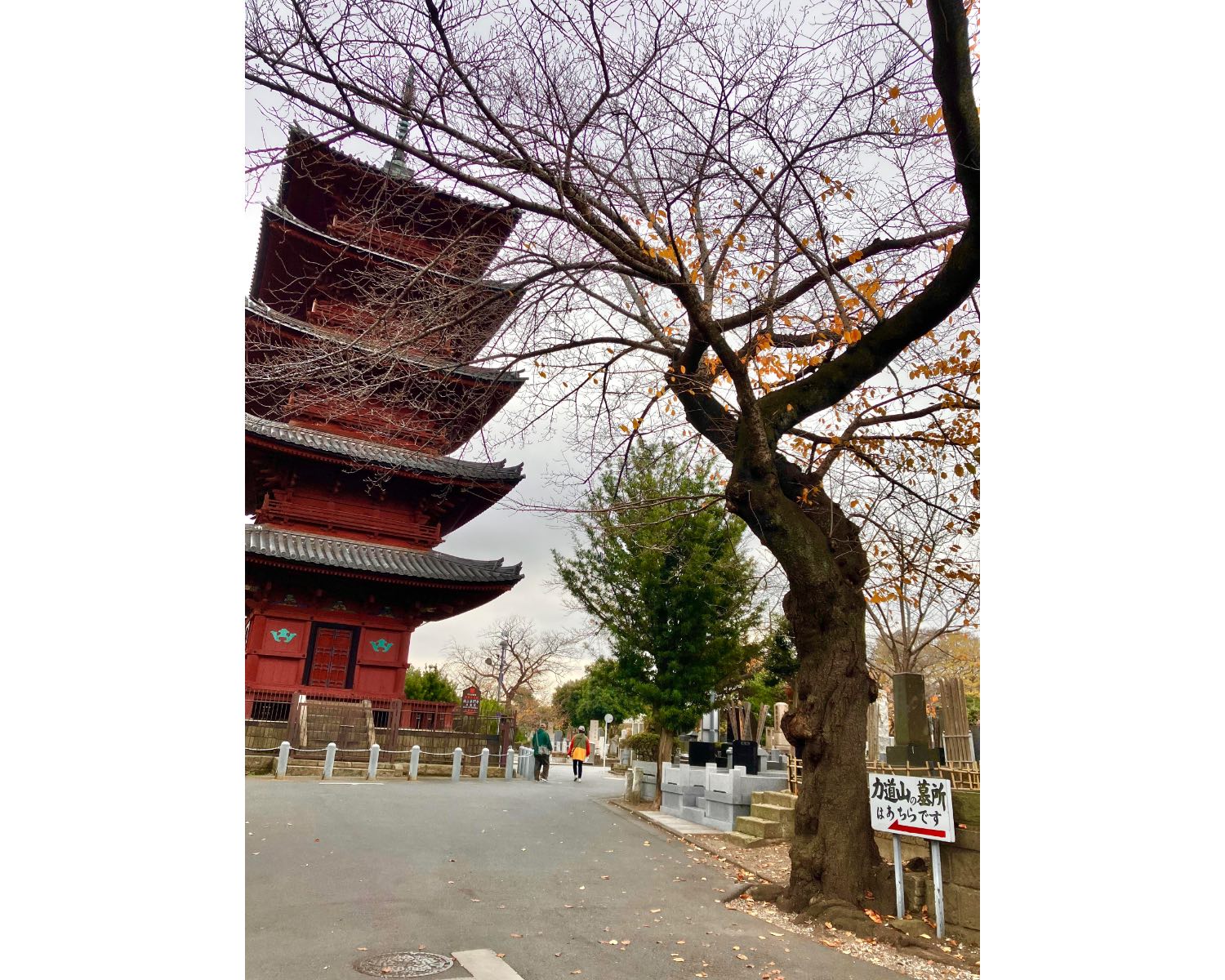 大きな門の階段をのぼると、右手には五重塔が。まるで奈良や京都などの古都のような、景色が広がっています。それでいて、まるで公園のような親しみやすさも。人々がのんびりお散歩を楽しむ姿が見られます。