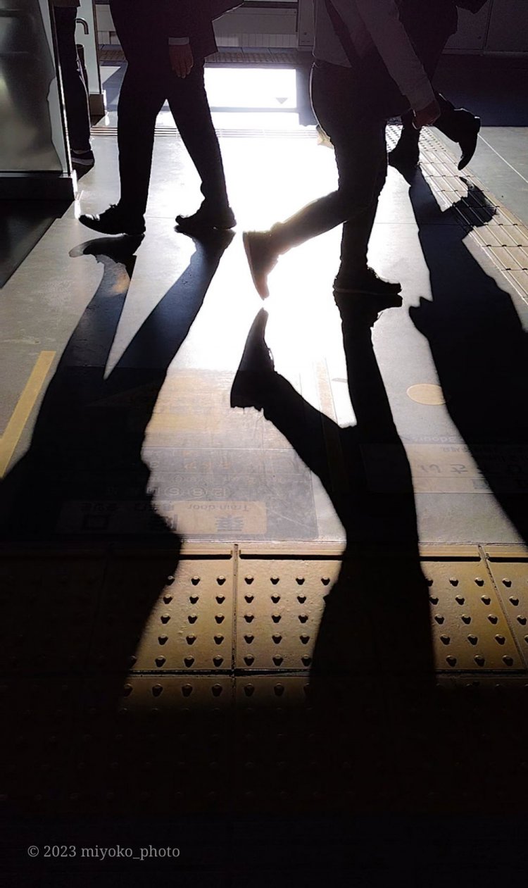 【camell】格安スマホ