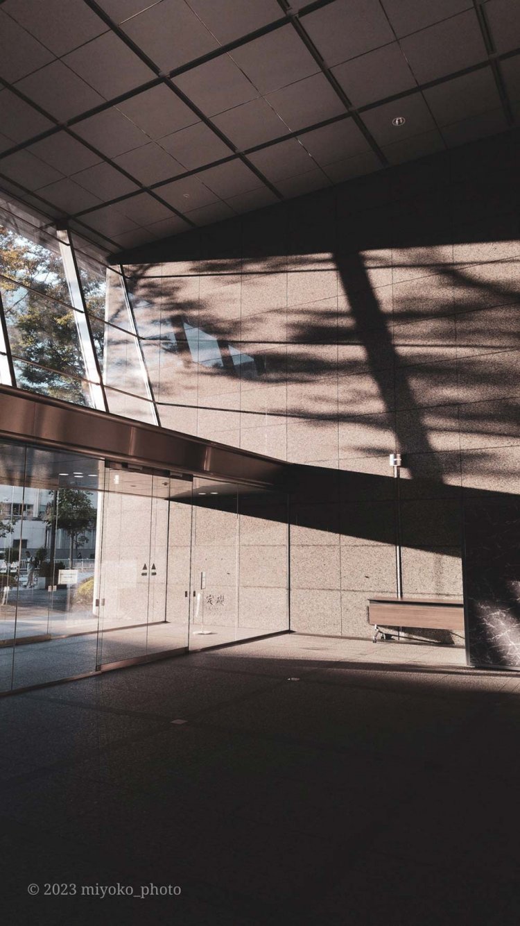 【camell】格安スマホ