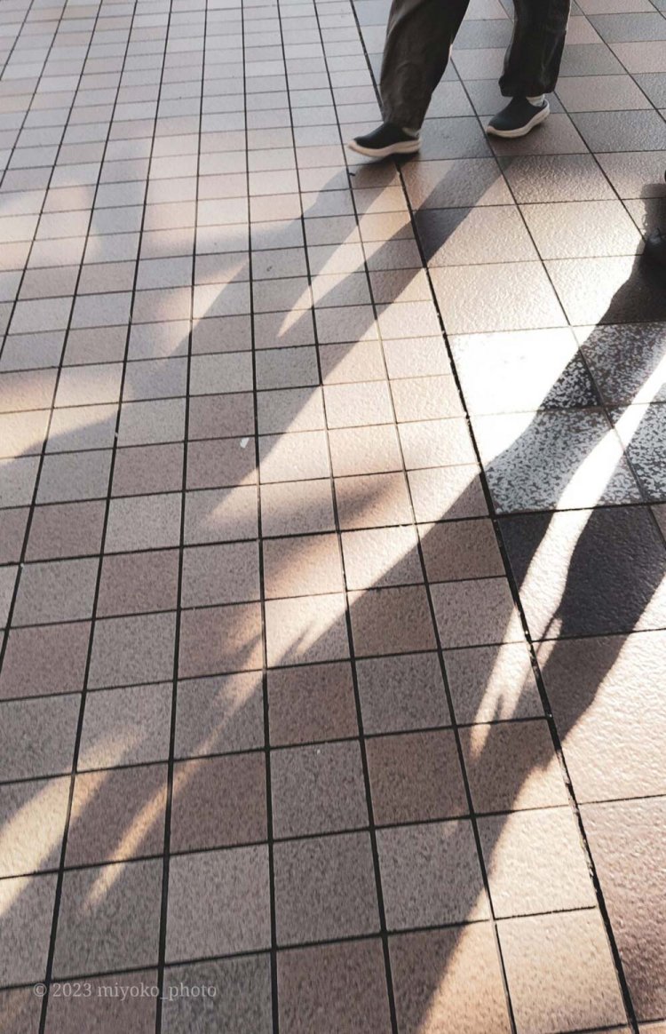 【camell】格安スマホ