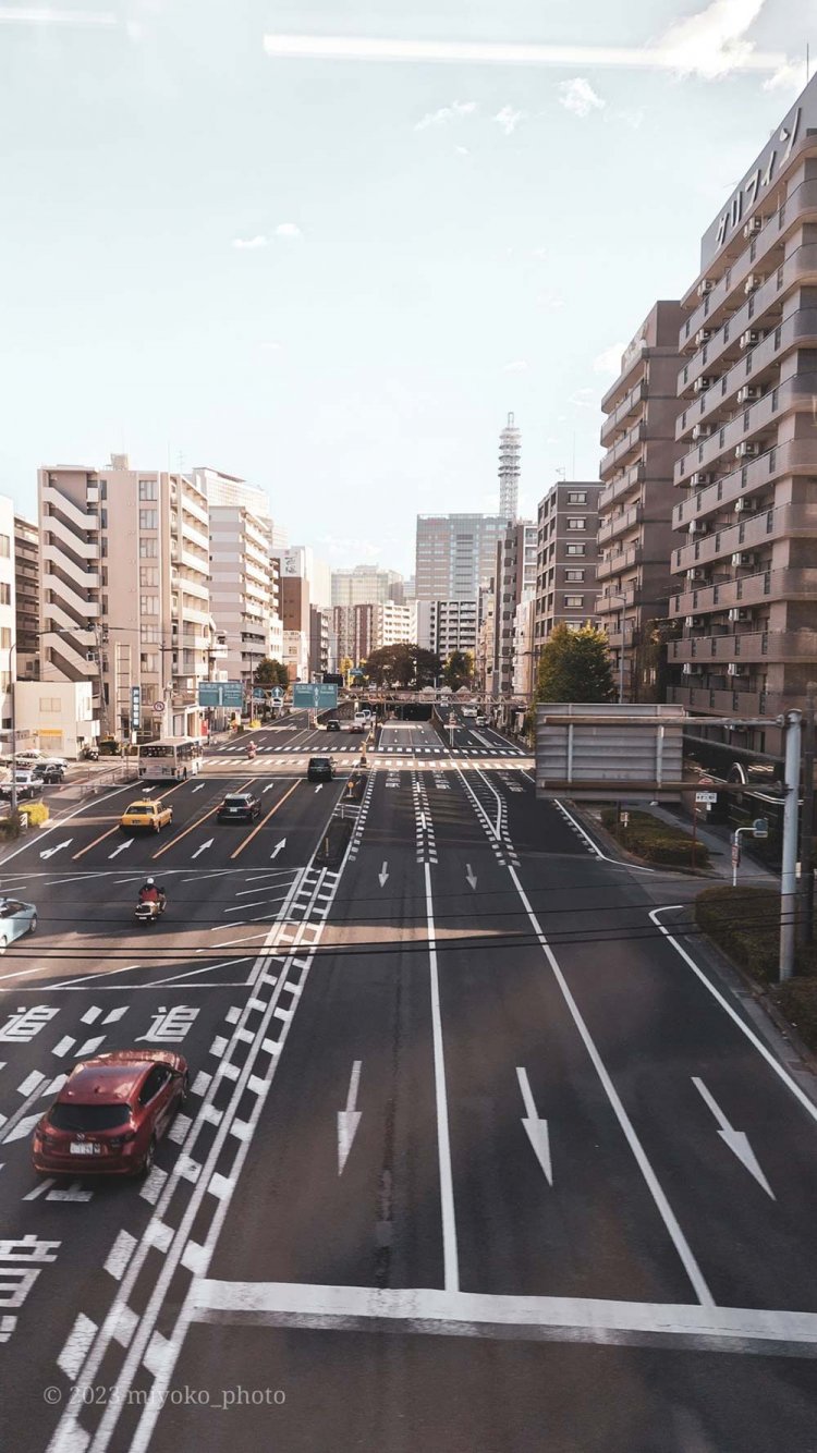 【camell】格安スマホ