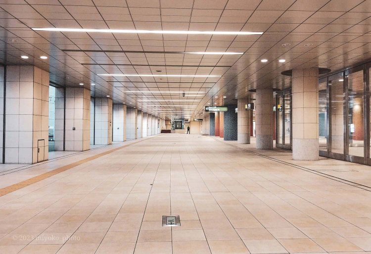 【camell】格安スマホ