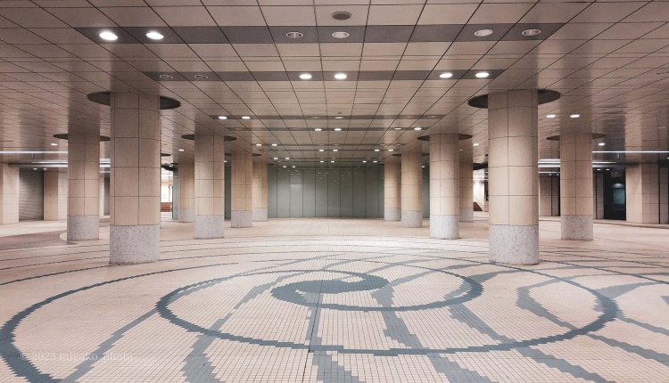 【camell】格安スマホ