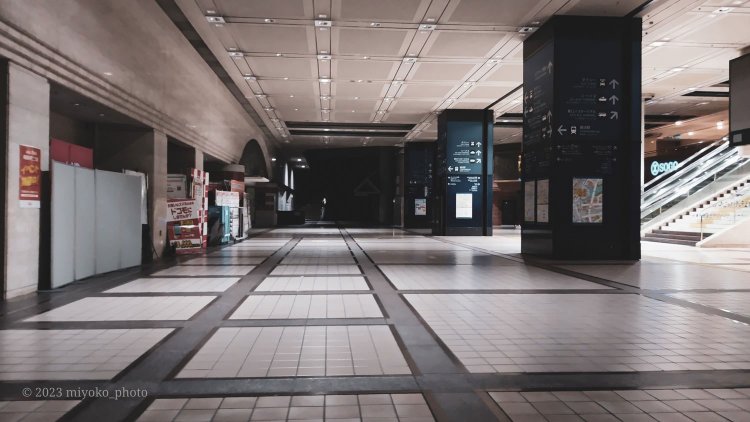 【camell】格安スマホ