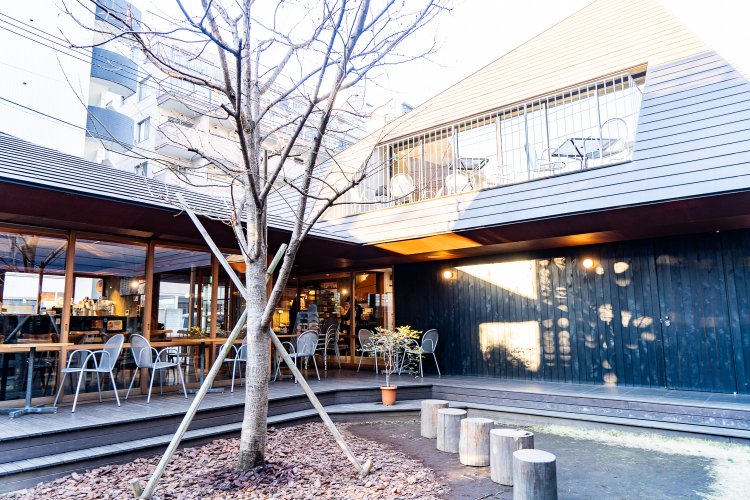 中庭のシンボルツリーは桜。