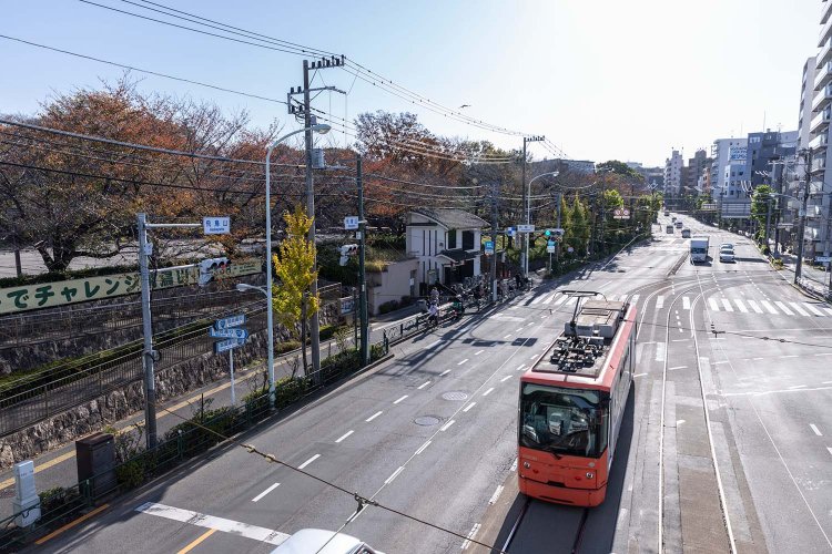 ファンキー公園_3774