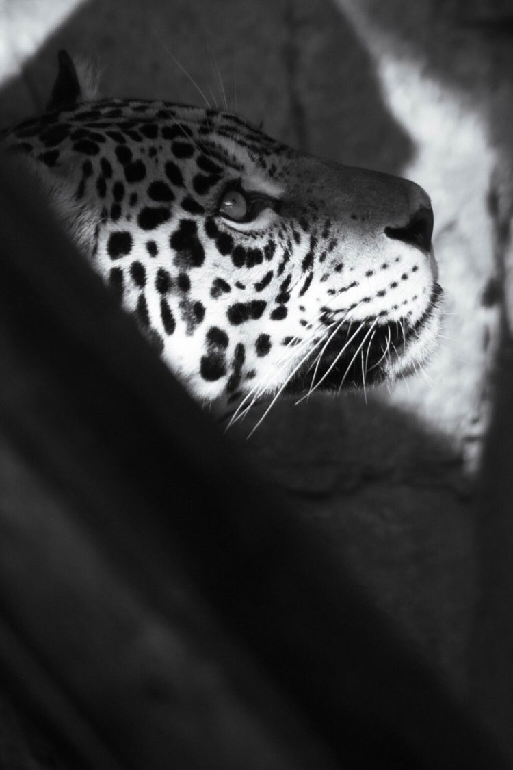 お部屋の端っこで滴る水滴に興味津々。