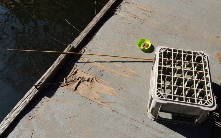 【東京おでんだね】つり堀 武蔵野園のおでん