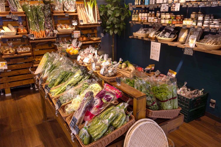 【散歩の達人】浅草橋さんぽ