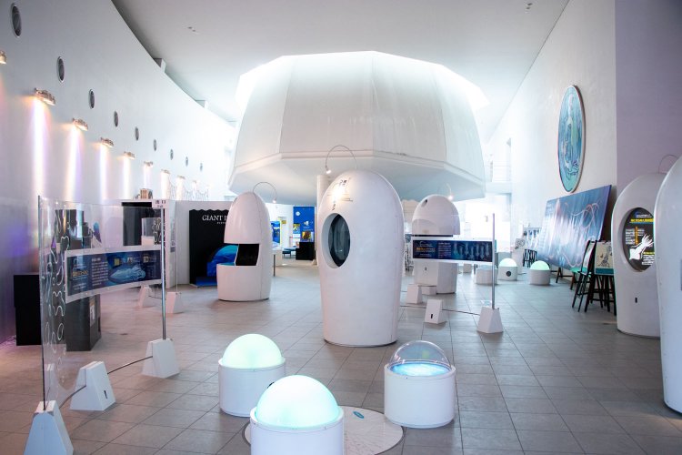 ホタルイカを通して、海の不思議を学べる展示ホール。（写真提供／（公社）とやま観光推進機構）