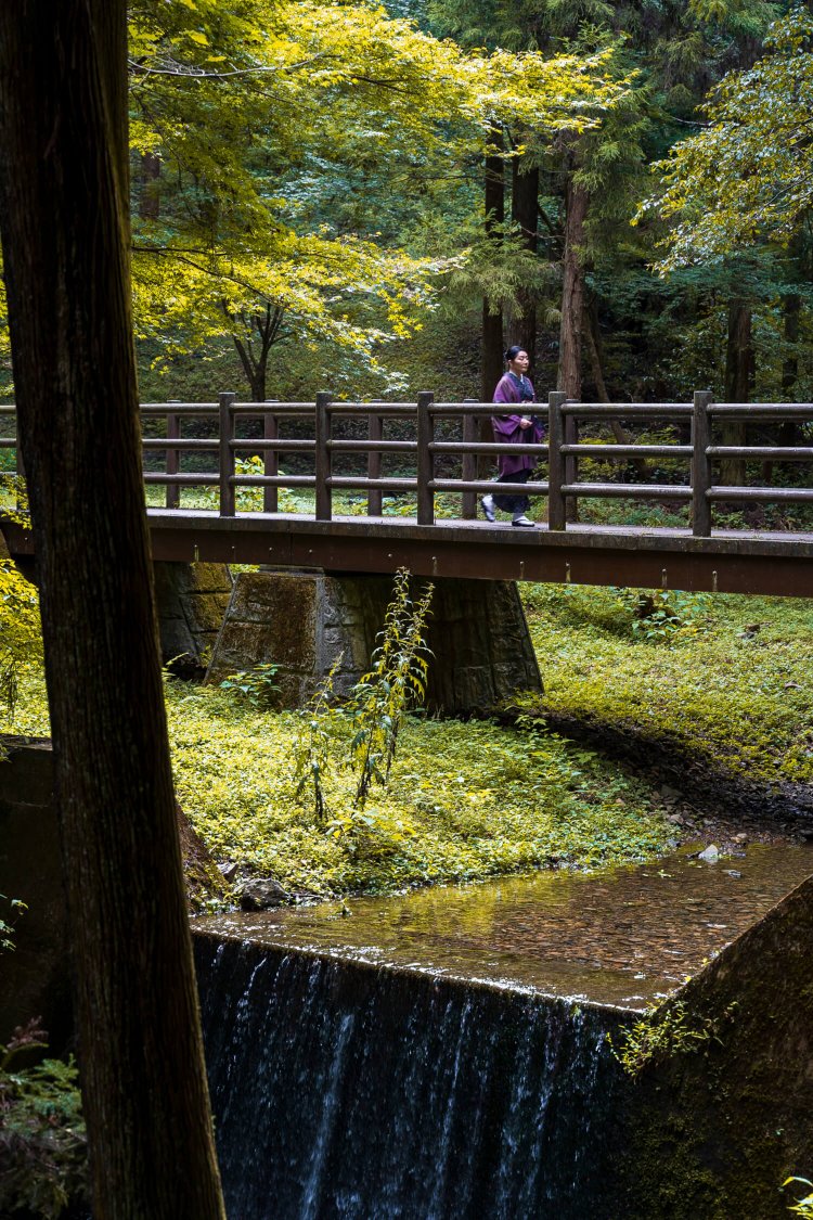 八王子城跡内。御主殿跡へと続く曳橋。