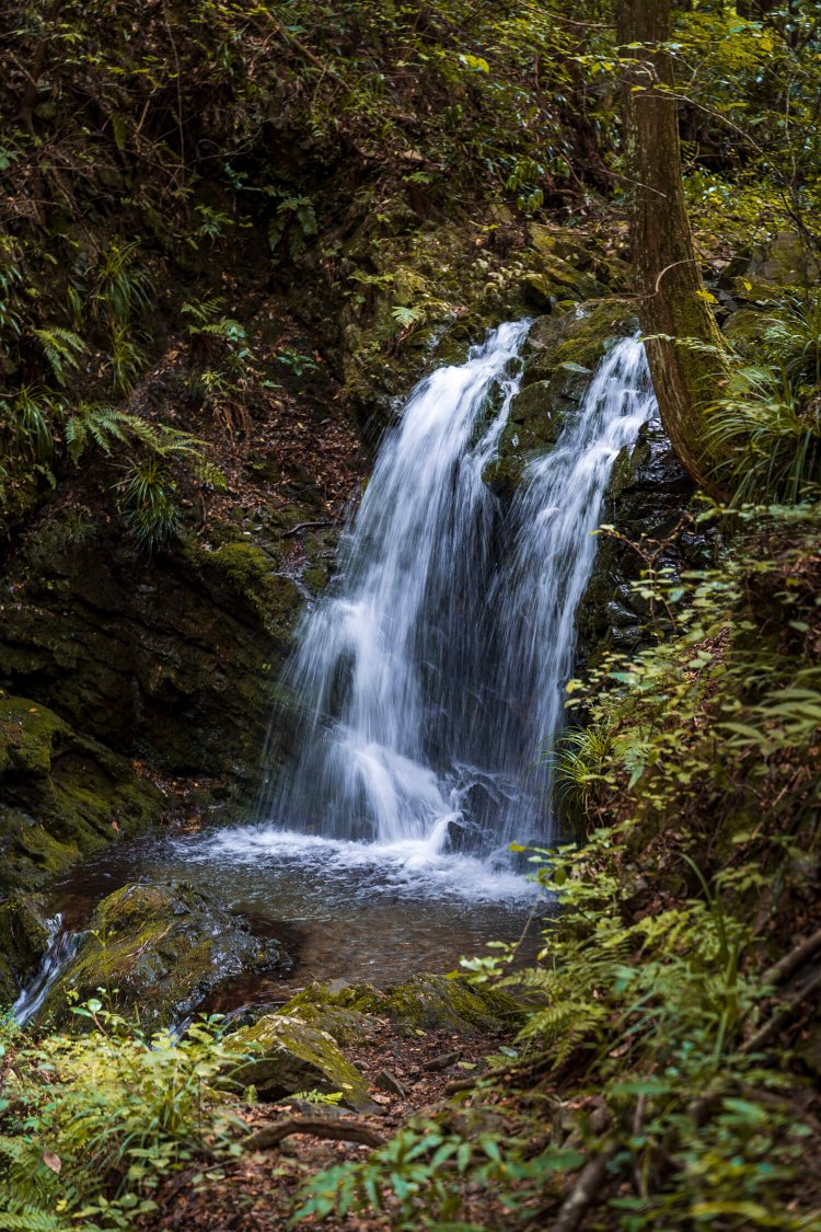 三日三晩血で赤く染まったという御主殿の滝。供養のため赤飯を炊いたところ、川の色が透明になったという。