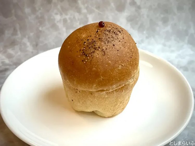 【としまらいふ】アルザスエール