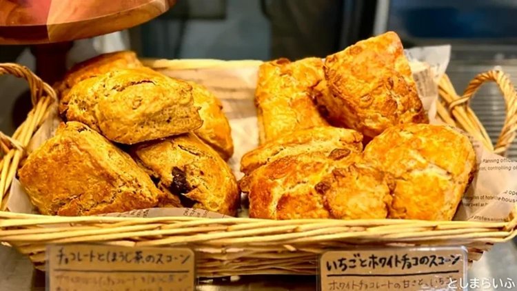 【としまらいふ】アルザスエール