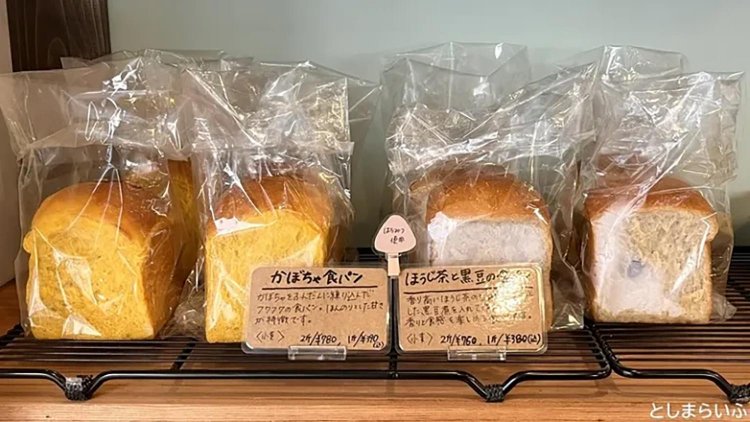 【としまらいふ】アルザスエール