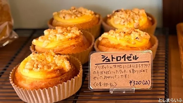 【としまらいふ】アルザスエール