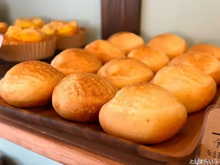 【としまらいふ】アルザスエール