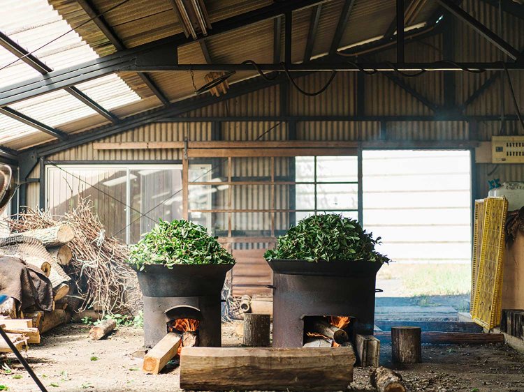 写真提供：お茶の芳香園。