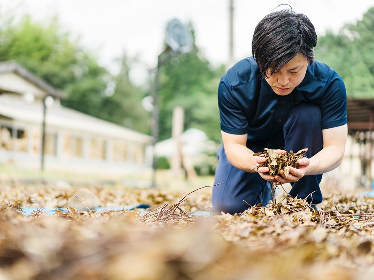 「これといった決め手があったわけではないけど、江戸から続く伝統を途絶えさせるのはもったいないという気持ちはあった」。写真提供：お茶の芳香園