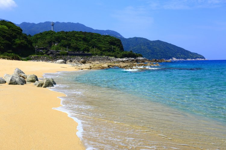約1㎞続く永田いなか浜は、多くのウミガメが産卵に訪れる（写真＝photolibrary）。