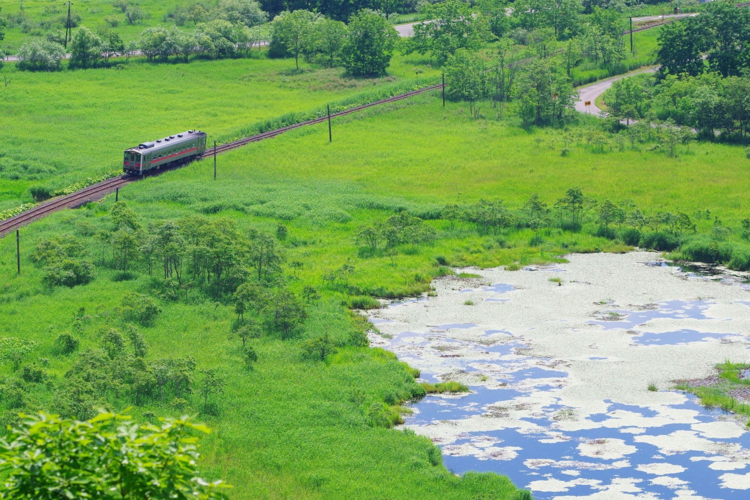 サルルン展望台からはサルルン沼と湿原を走る釧網本線が一望できる。（写真／photolibrary）