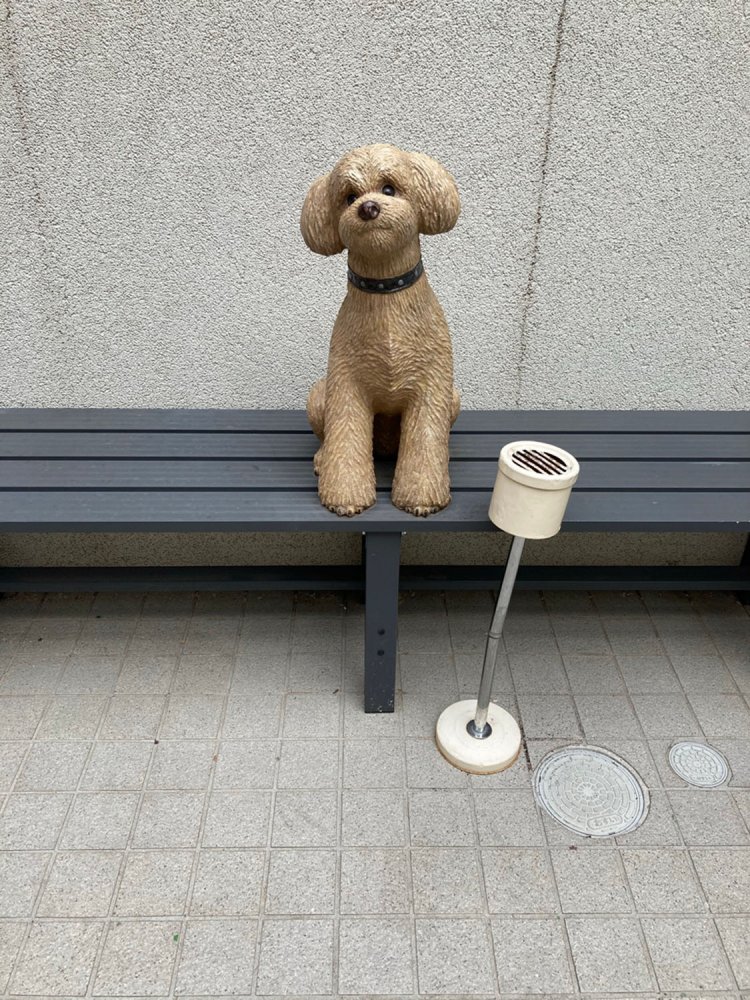 なぜここにトイプードルがいるのかは不明だが、殺伐とした喫煙場所がかわいらしい雰囲気に（仙川）。