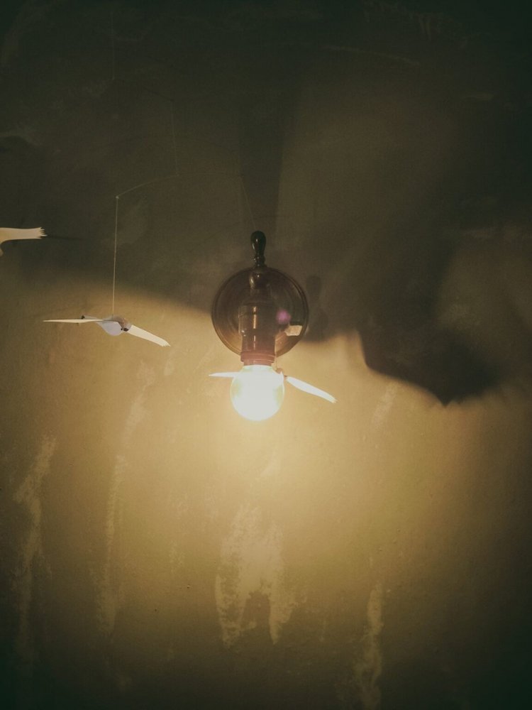 【camell】オールドコンデジの魅力