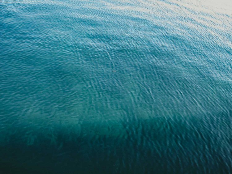 【camell】オールドコンデジの魅力