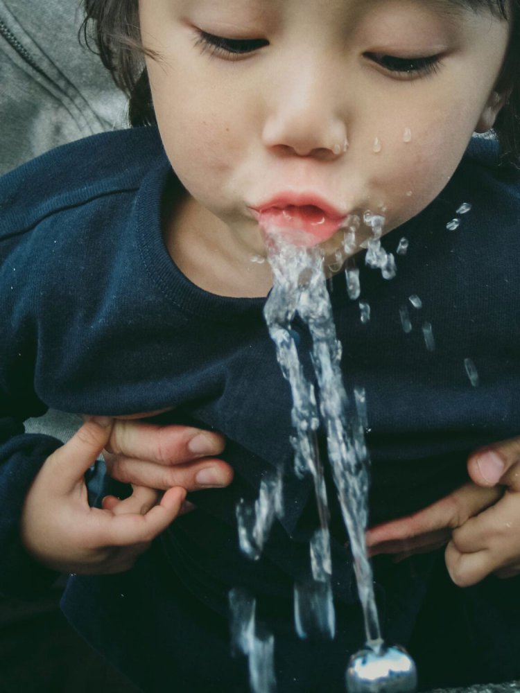 【camell】オールドコンデジの魅力