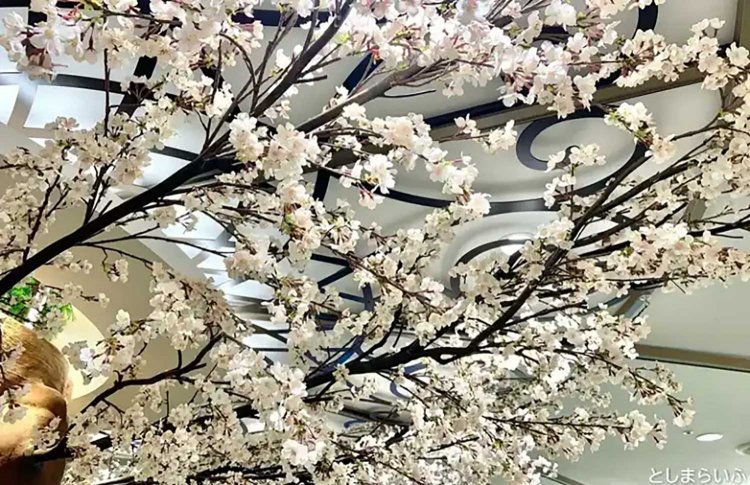 【としまらいふ】サンシャイン60展望台で天空のお花見