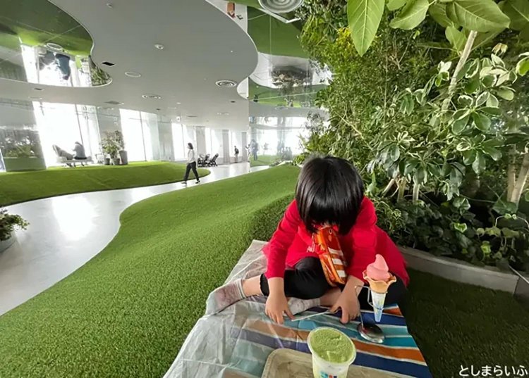 ピクニックのイメージ。