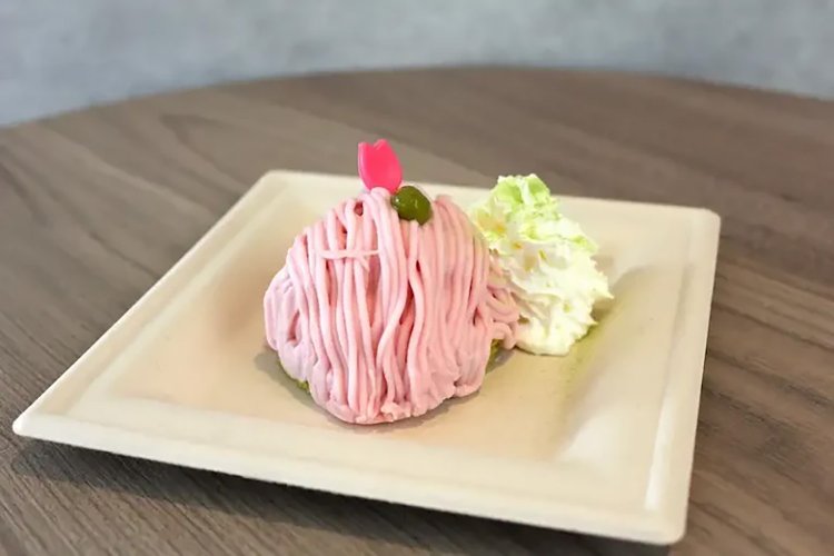 【としまらいふ】サンシャイン60展望台で天空のお花見