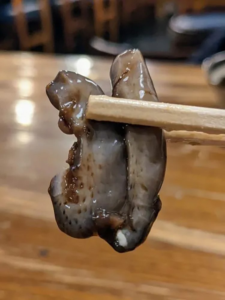 【酒場ナビ】下落合「鳥ふじ」