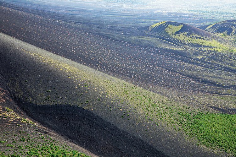 宝永山から下、富士山裾野の山肌。