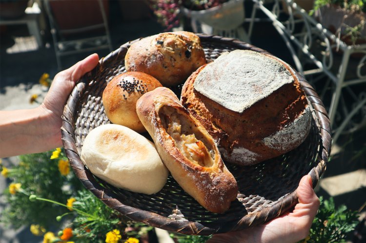 ココロパン（ココロパン）