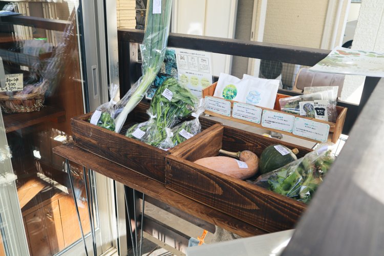 パンと一緒に『ココロパン』で販売されている無農薬栽培の新鮮な野菜。