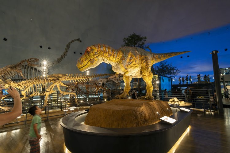 2023年7月にリニューアルオープンした福井県立恐竜博物館。“恐竜のまち勝山”で時間旅行を。（撮影＝若井 憲）