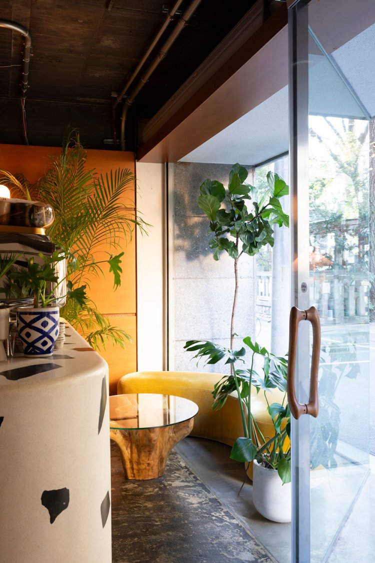 入り口横の席は自然光がたっぷり入る。