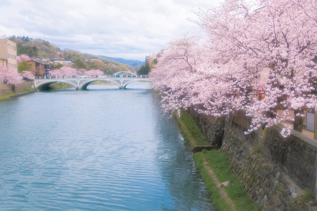 お花見はどこに行く？　文筆家・喫茶写真家 川口葉子さんの「とっておきの桜が見えるカフェ」5選