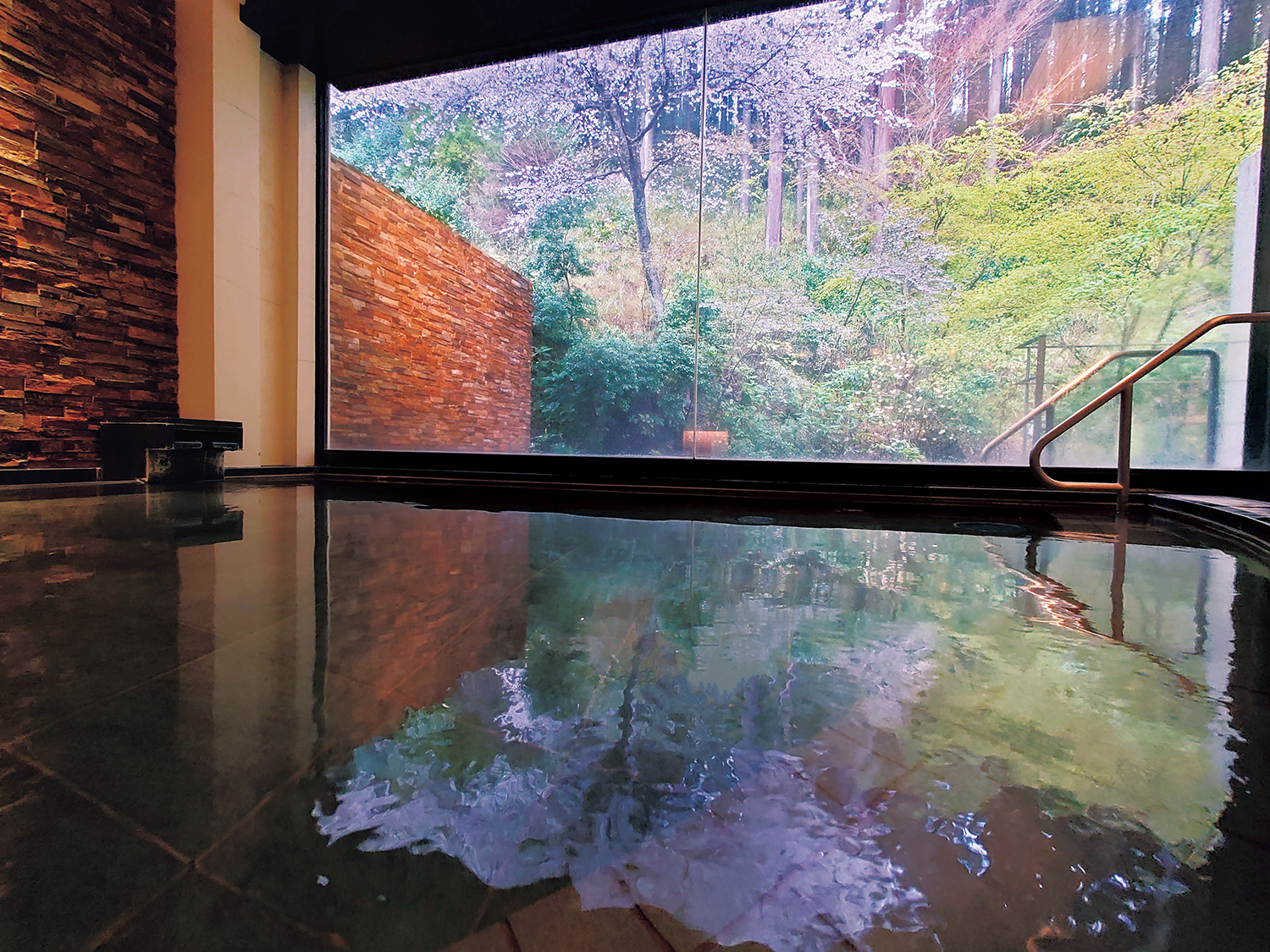 芦ノ湖温泉『山のホテル』では露天風呂に覆いかぶさるように桜が咲く。芦ノ湖を望める庭にも桜が点在。