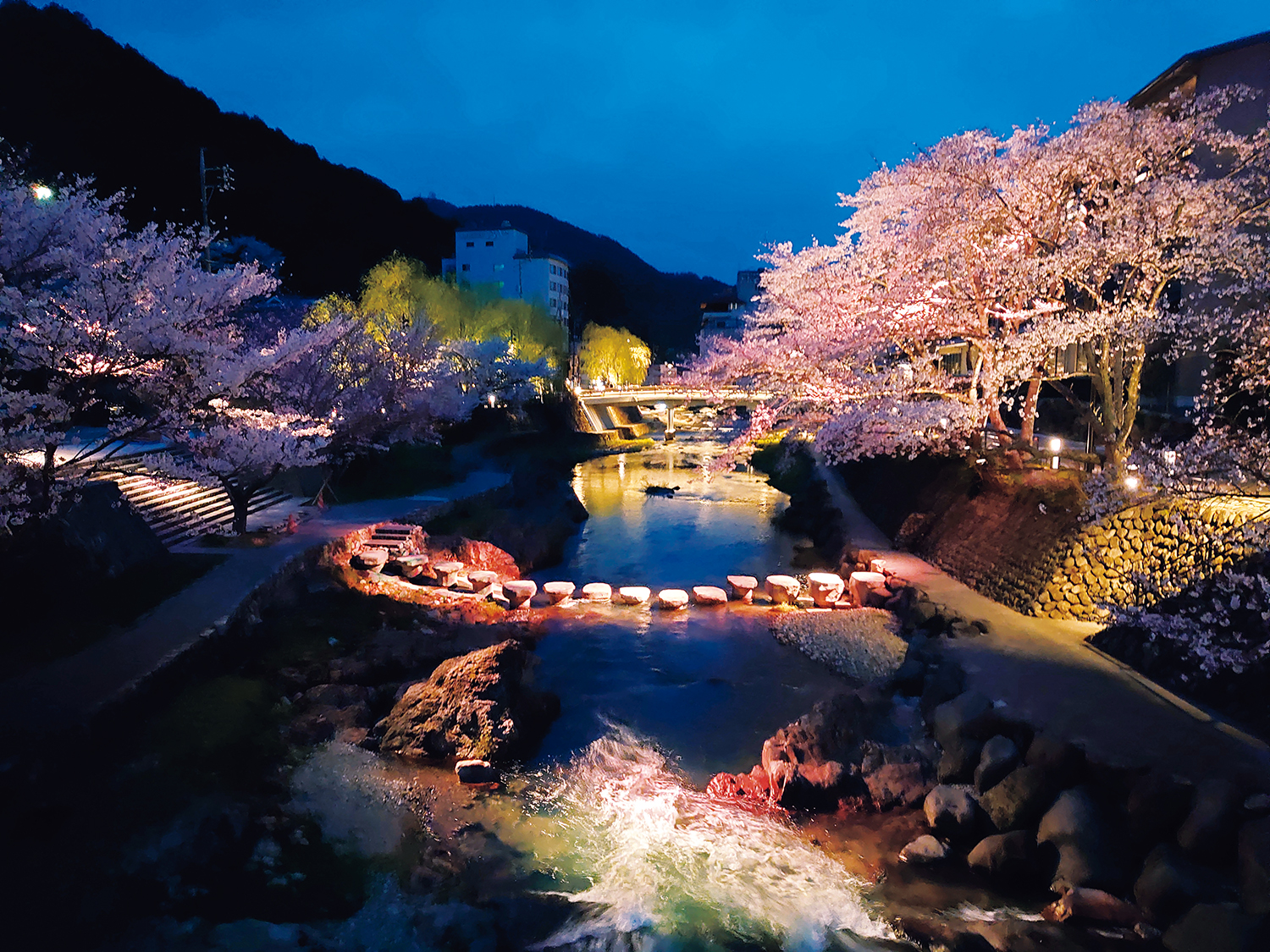 長門湯本温泉『界 長門』の前には音信川の桜並木。桜の花だけを浮き立たせる照明の夜桜は必見だ。