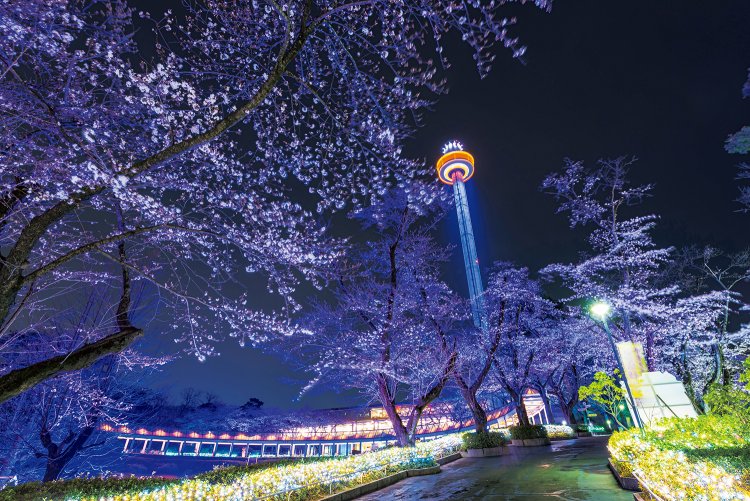 ※写真は過去に撮影されたものです。