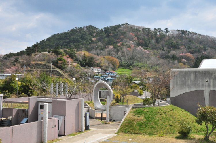 大高森のヤマザクラ。人間と同様、十人十色の個性をもつヤマザクラが群生し、二つとない景色を作る。見頃は4月上～中旬。