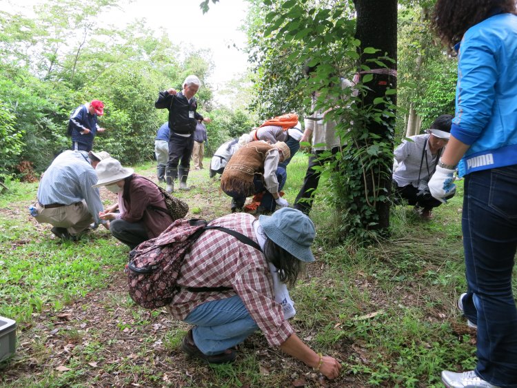 5月下旬～6月に行う種採り祭。ほか6月の苗植え祭、3月の植樹祭が主な年間スケジュールだ。