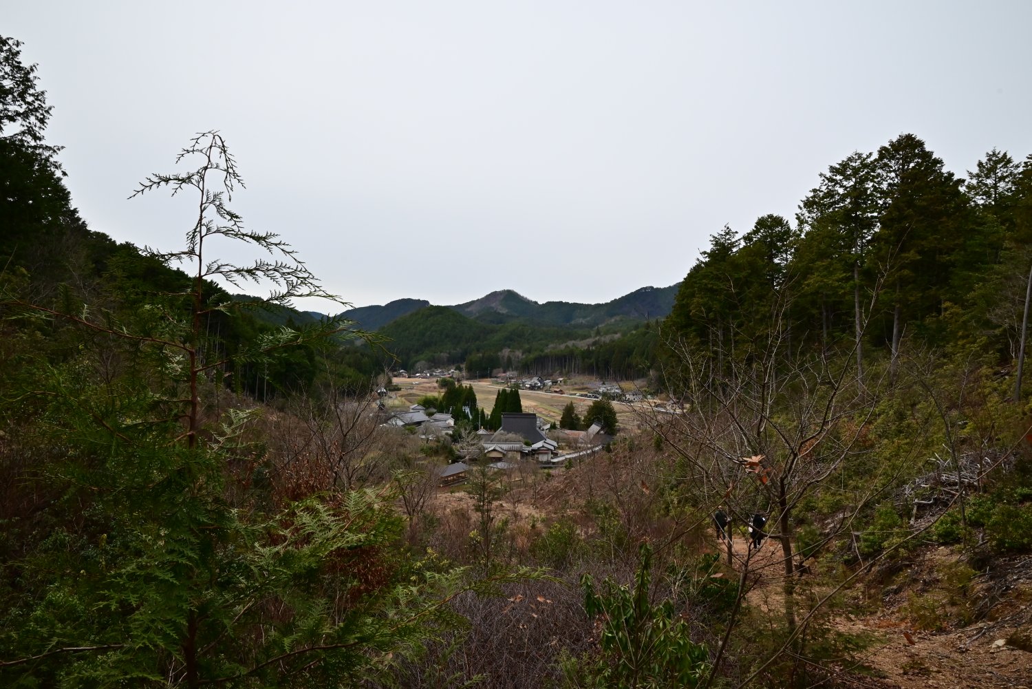 京都の北西部・京北では土地の多くを森林が占め、高齢化も問題となっている。
